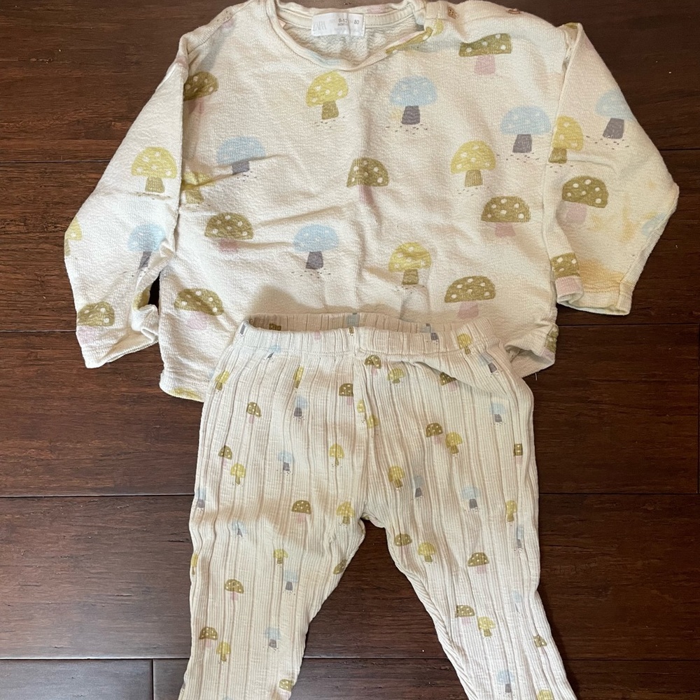 Zara mushroom set